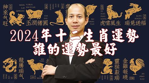 豬龍鼠馬什麼意思|12生肖12月運勢全解析！屬雞會有不少追求者，「這生。